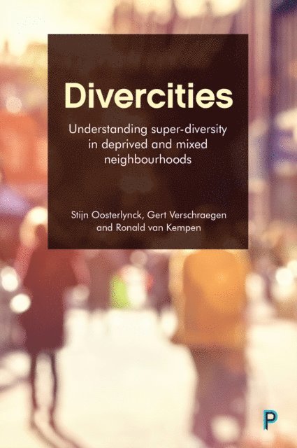 Ronald van Kempen, Gert Verschraegen, Stijn Oosterlynck - Divercities, E-bok