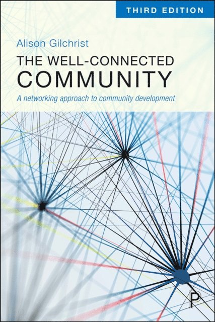 Alison Gilchrist - Well-Connected Community, E-bok