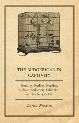 Denys Weston - Budgerigar in Captivity - Housing, Feeding, Breeding, Colour Production, Exhibition and Teaching to Talk, Häftad. Tillgänglighet: Lägg i varukorg