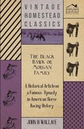 The Black Hawk or Morgan Family - A Historical Article on a Famous Dynasty in American Horse Racing History