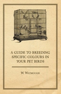 W. Watmough - Guide to Breeding Specific Colours in Your Pet Birds, Häftad. Tillgänglighet: Lägg i varukorg
