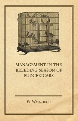 W. Watmough - Management in the Breeding Season of Budgerigars, Häftad. Tillgänglighet: Lägg i varukorg