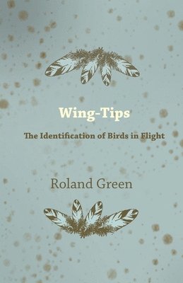 Roland Green - Wing-Tips - The Identification of Birds in Flight, Häftad