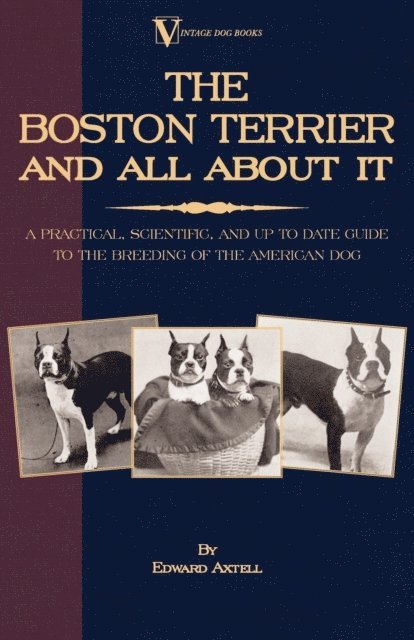 Edward Axtell - Boston Terrier and All about It: A Practical, Scientific, and Up to Date Guide to the Breeding of the American Dog, E-bok