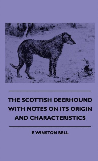 Scottish Deerhound with Notes on its Origin and Characteristics