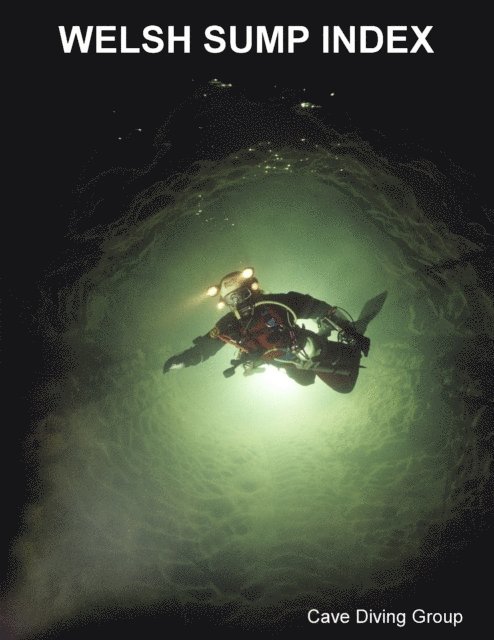 Duncan Price - Welsh Sump Index, E-bok