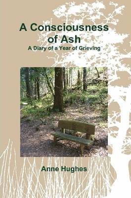 Anne Hughes - Consciousness of Ash, Häftad