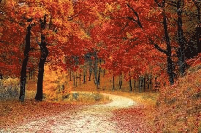 Paula Glynn - Autumn Rain, E-bok. Tillgänglighet: Lägg i varukorg
