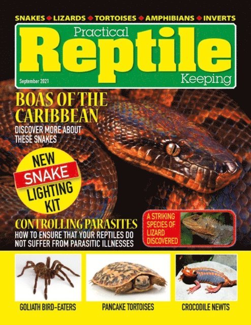 David Alderton - Practical Reptile Keeping - September 2021, E-bok