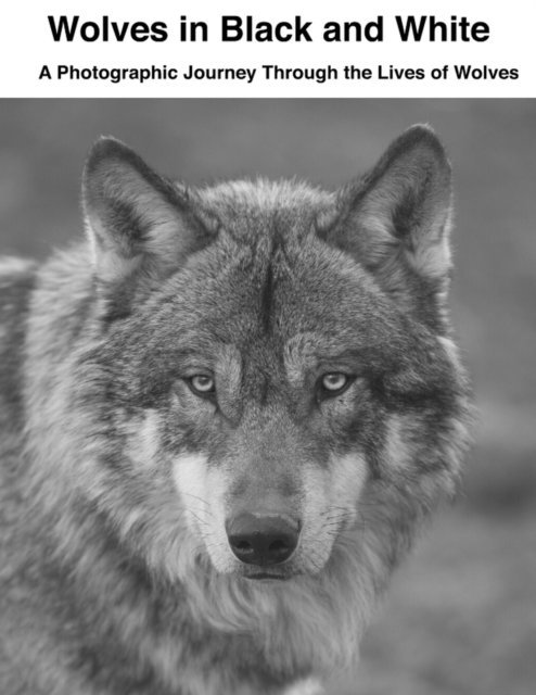 David Sechovicz - Wolves in Black and White: A Photographic Journey Through the Lives of Wolves, E-bok