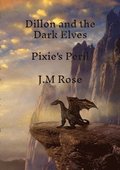 Dillon and the Dark Elves