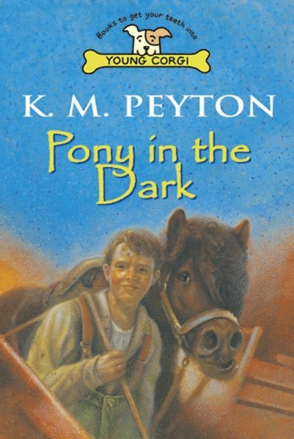 K M Peyton - Pony In The Dark, E-bok