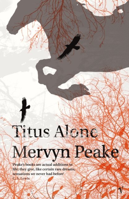 Mervyn Peake - Titus Alone, E-bok
