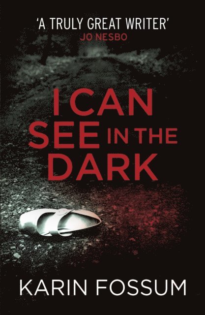 Karin Fossum - I Can See in the Dark, E-bok