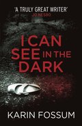I Can See in the Dark