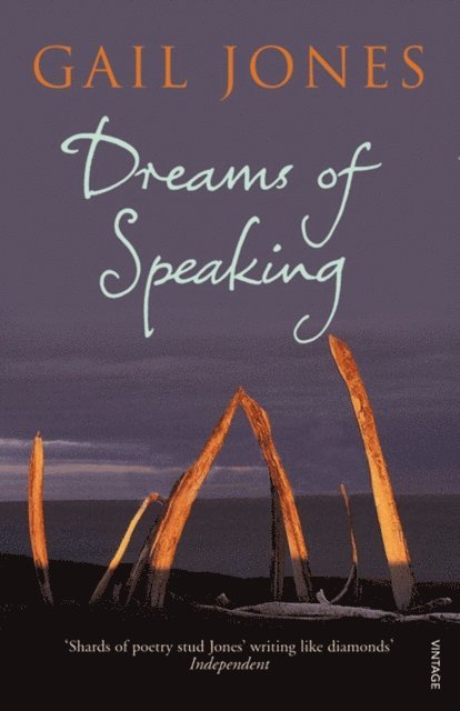 Gail Jones - Dreams of Speaking, E-bok. Tillgänglighet: Lägg i varukorg