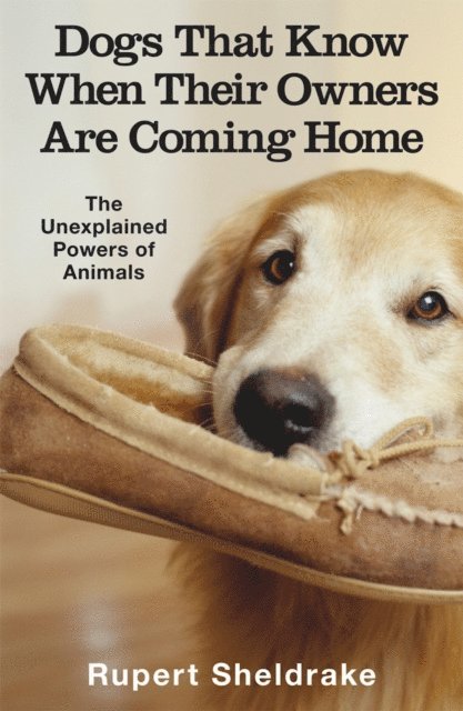 Rupert Sheldrake - Dogs That Know When Their Owners Are Coming Home, E-bok
