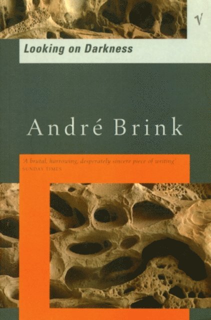 André Brink - Looking On Darkness, E-bok