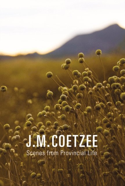 J.M. Coetzee - Scenes from Provincial Life, E-bok