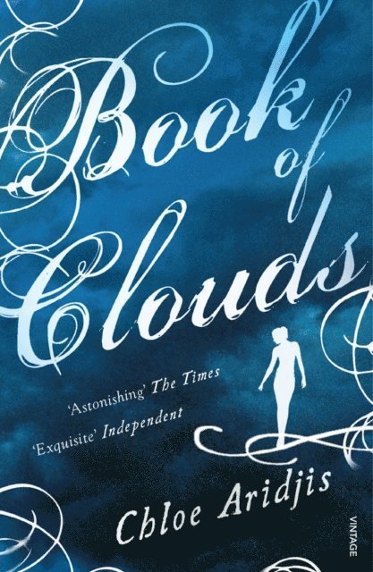 Chloe Aridjis - Book of Clouds, E-bok