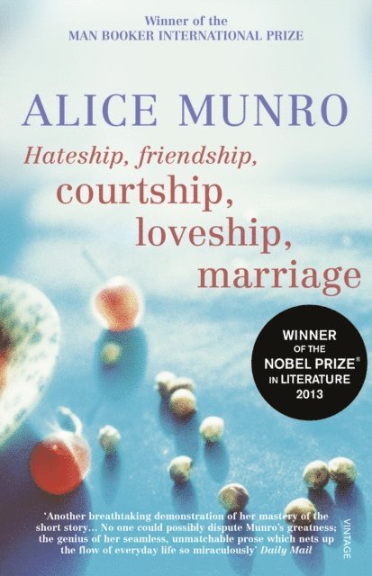Alice Munro - Hateship, Friendship, Courtship, Loveship, Marriage, E-bok