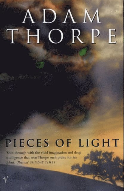 Adam Thorpe - Pieces Of Light, E-bok. Tillgänglighet: Lägg i varukorg