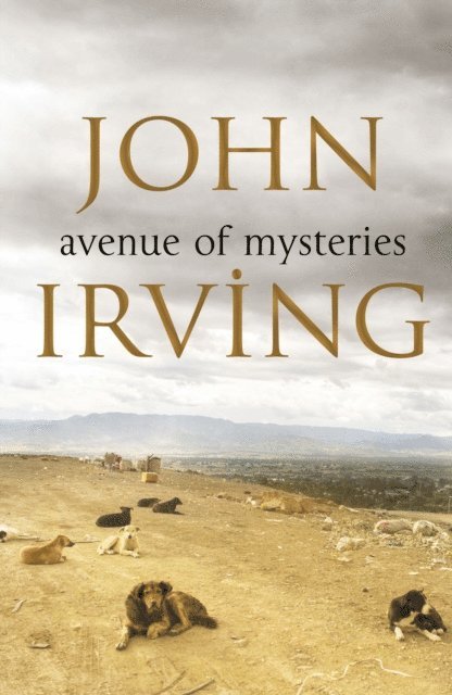 John Irving - Avenue of Mysteries, E-bok