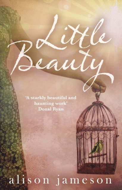 Alison Jameson - Little Beauty, E-bok
