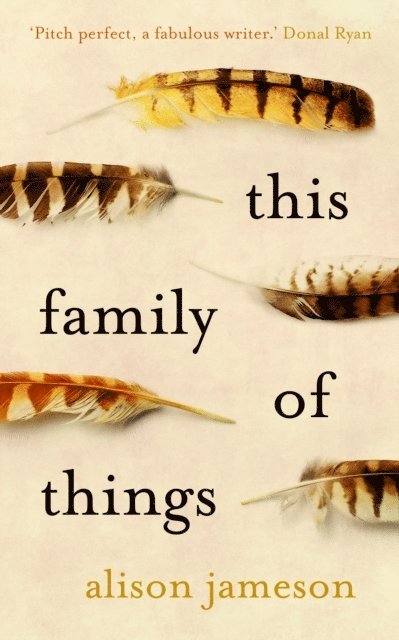 Alison Jameson - This Family of Things, E-bok