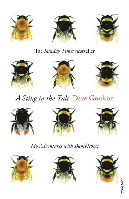 Dave Goulson - Sting in the Tale, E-bok