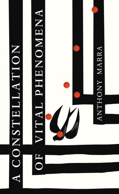 Anthony Marra - Constellation of Vital Phenomena, E-bok
