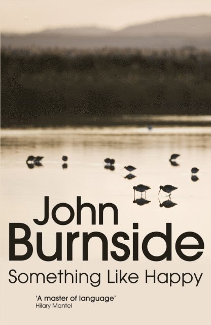 John Burnside - Something Like Happy, E-bok