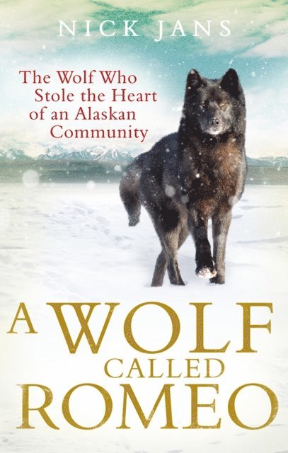 Nick Jans - Wolf Called Romeo, E-bok. Tillgänglighet: Lägg i varukorg