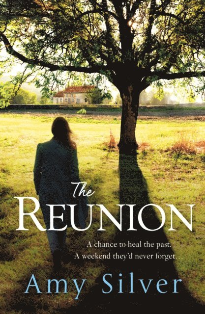 Amy Silver - Reunion, E-bok