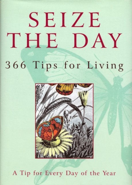 Nicholas Albery - Seize The Day, E-bok
