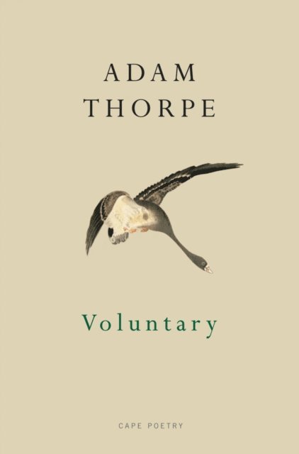 Adam Thorpe - Voluntary, E-bok. Tillgänglighet: Lägg i varukorg