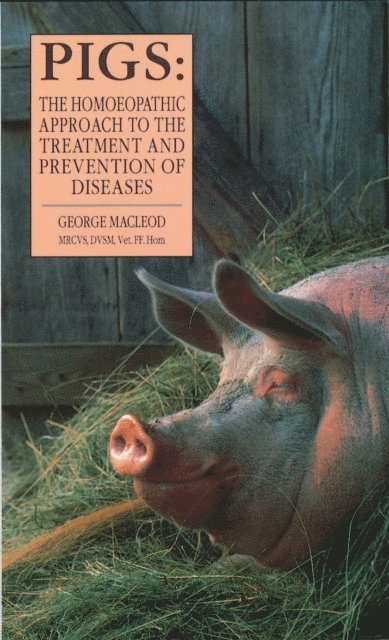 George Macleod - Pigs, E-bok
