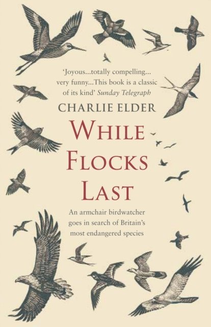Charlie Elder - While Flocks Last, E-bok
