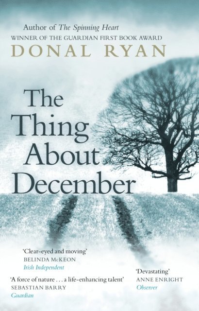 Donal Ryan - Thing About December, E-bok