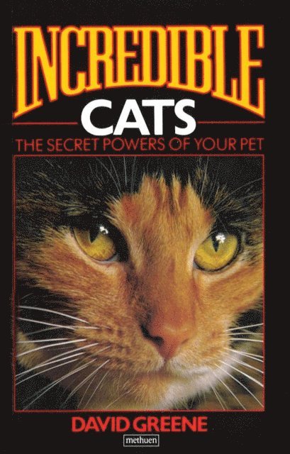 David Greene - Incredible Cats, E-bok