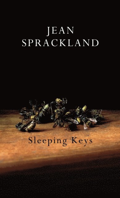 Jean Sprackland - Sleeping Keys, E-bok