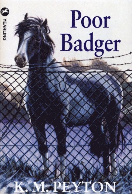 K M Peyton - Poor Badger, E-bok