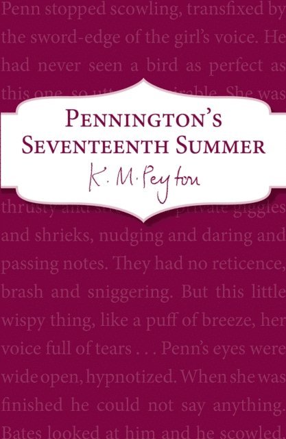 K M Peyton - Pennington's Seventeenth Summer, E-bok