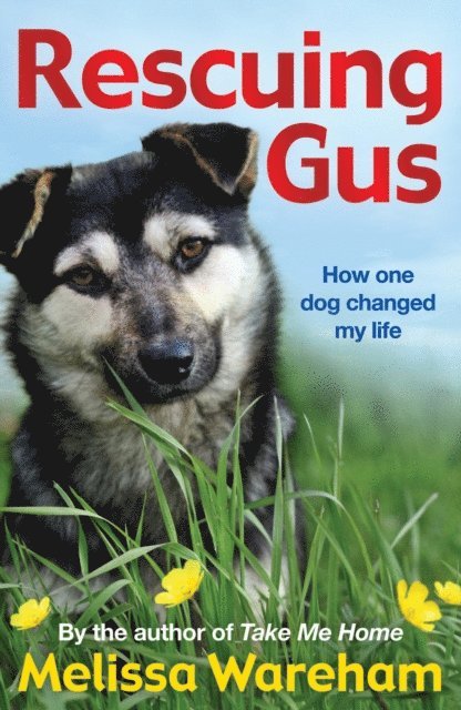 Melissa Wareham - Rescuing Gus, E-bok. Tillgänglighet: Lägg i varukorg