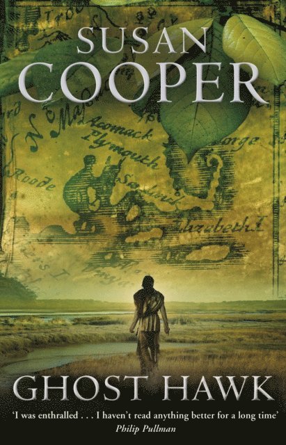 Susan Cooper - Ghost Hawk, E-bok