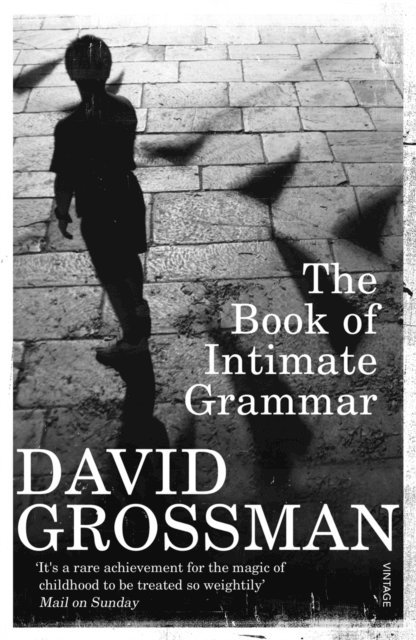 David Grossman - Book Of Intimate Grammar, E-bok