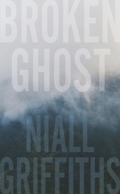 Niall Griffiths - Broken Ghost, E-bok