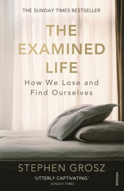 Stephen Grosz - Examined Life, E-bok