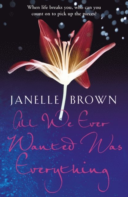 Janelle Brown - All We Ever Wanted Was Everything, E-bok