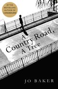 Country Road, A Tree